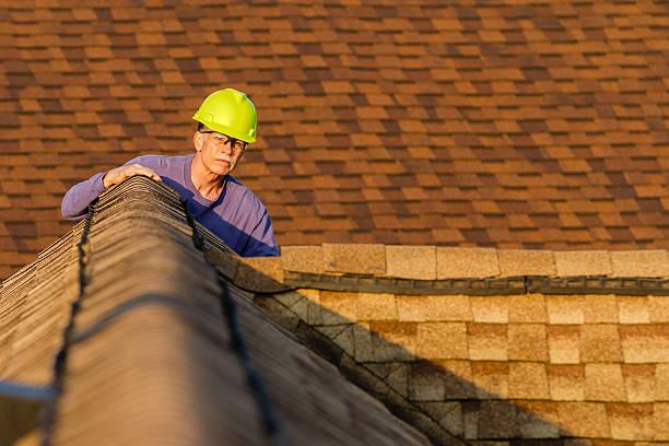 Roof Gutter Cleaning in Homewood, IL